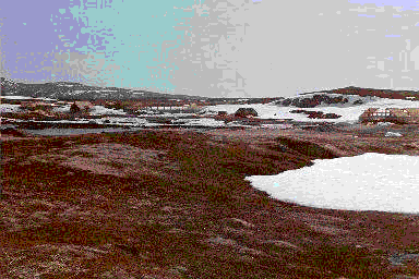 Tanih permafrost