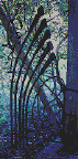 Lily Gate